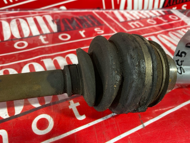 Привод, 1000 рублей, Солонцы