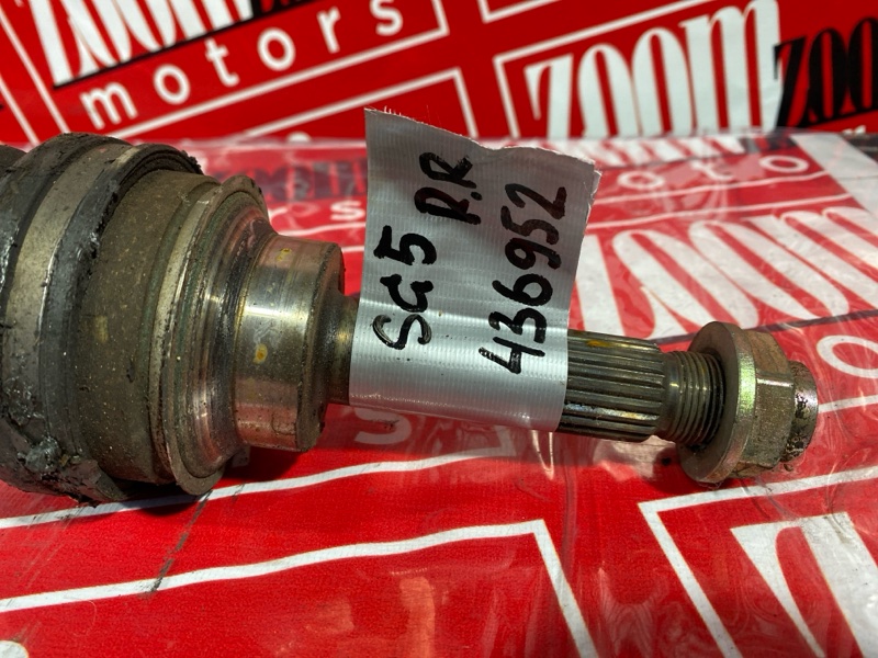 Привод, 1000 рублей, Солонцы