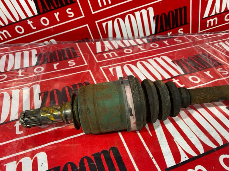 Привод, 1000 рублей, Солонцы