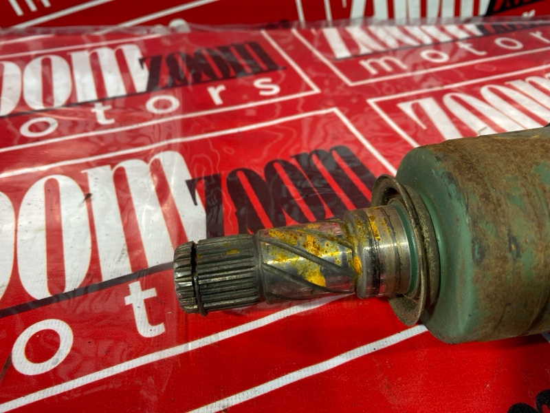 Привод, 1000 рублей, Солонцы