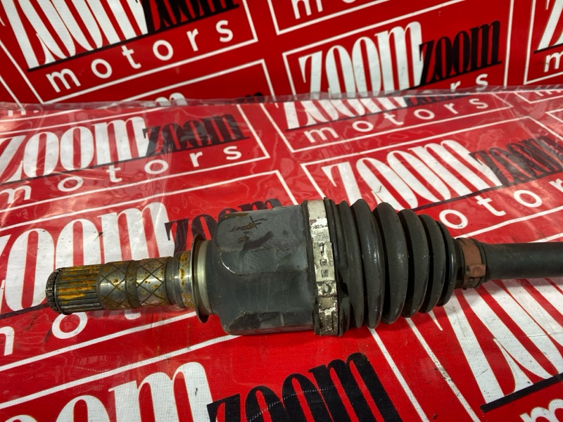 Привод, 3400 рублей, Солонцы