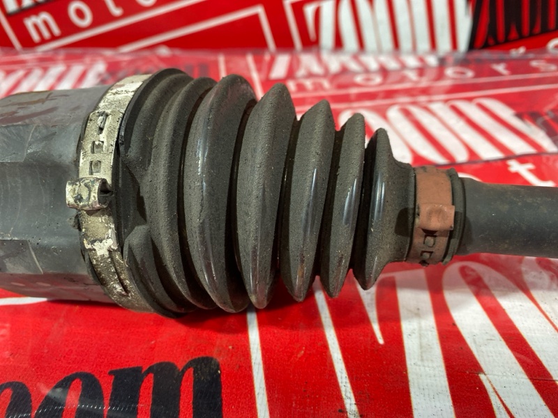 Привод, 3400 рублей, Солонцы