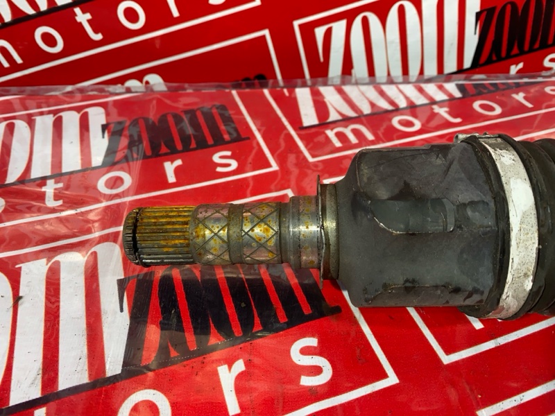 Привод, 3400 рублей, Солонцы