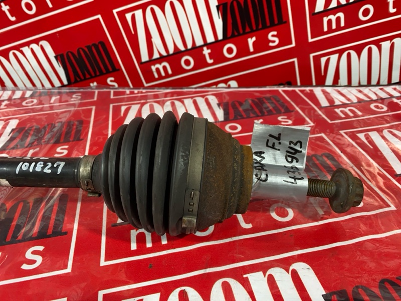 Привод, 3500 рублей, Солонцы