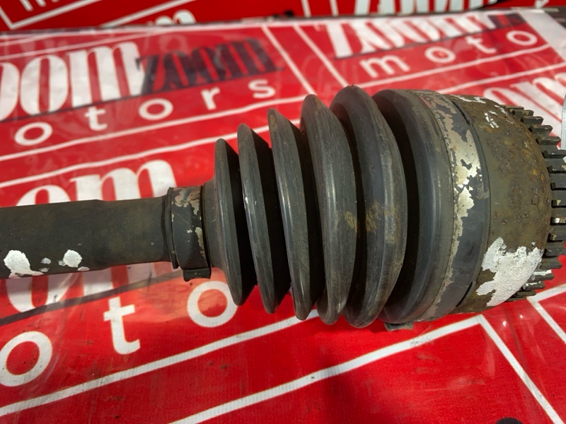 Привод, 9500 рублей, Солонцы