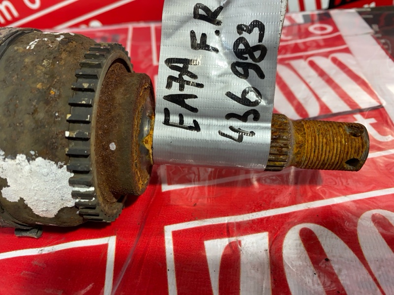 Привод, 9500 рублей, Солонцы