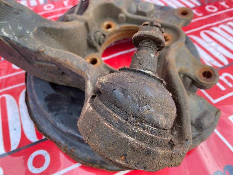 Цапфа, 1000 рублей, Солонцы