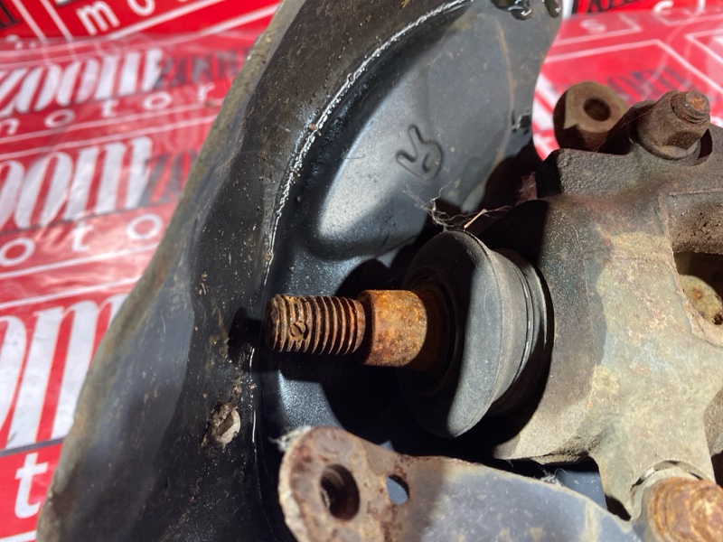 Цапфа, 1900 рублей, Солонцы