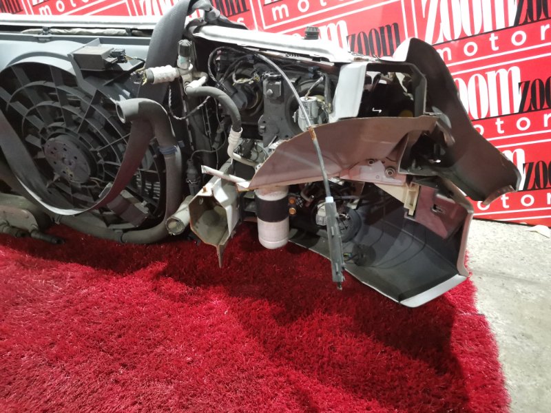 Nose cut, 40900 рублей, Солонцы