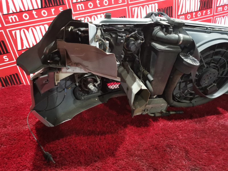 Nose cut, 40900 рублей, Солонцы