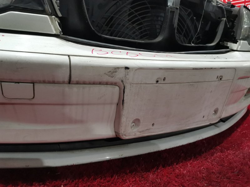 Nose cut, 38000 рублей, Солонцы