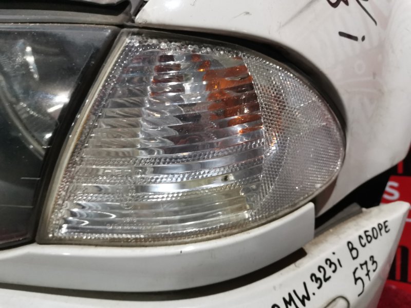 Nose cut, 38000 рублей, Солонцы