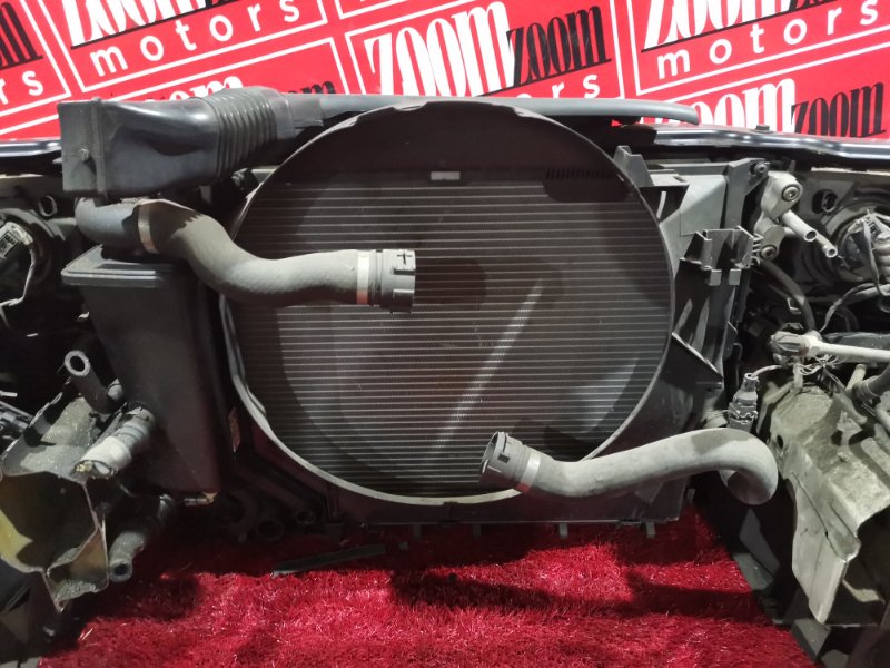 Nose cut, 38000 рублей, Солонцы