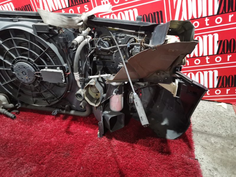 Nose cut, 40900 рублей, Солонцы