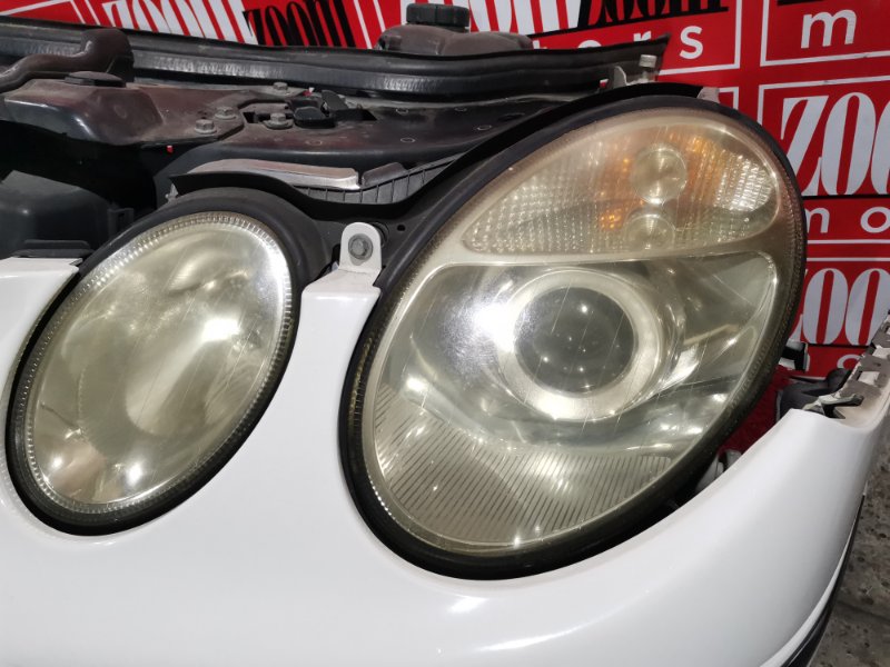 Nose cut, 58800 рублей, Солонцы