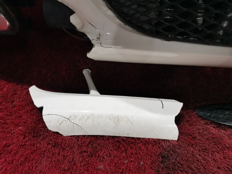 Nose cut, 58800 рублей, Солонцы