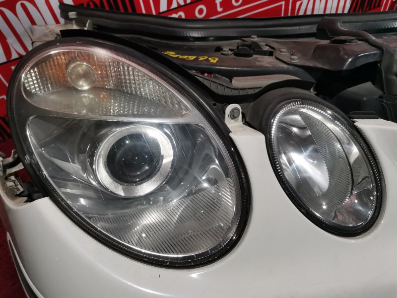 Nose cut, 58800 рублей, Солонцы