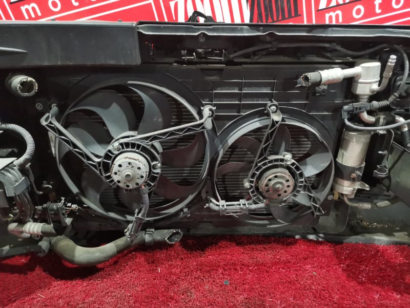 Nose cut, 31700 рублей, Солонцы