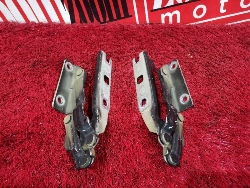 Петля (Шарнир капота), 800 рублей, Солонцы