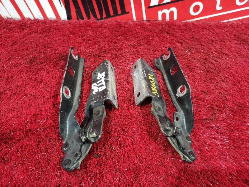 Петля (Шарнир капота), 800 рублей, Солонцы