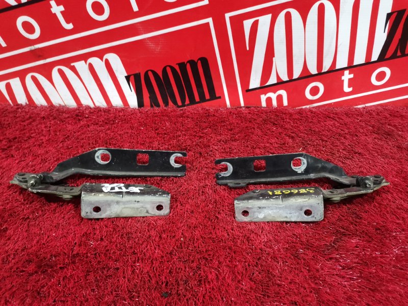 Петля (Шарнир капота), 800 рублей, Солонцы