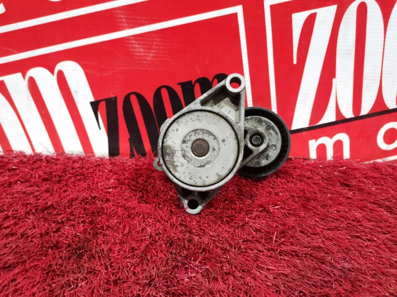 Ролик натяжителя, 1000 рублей, Солонцы