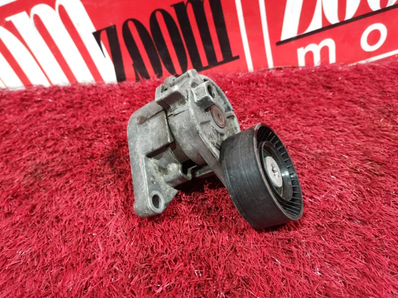 Ролик натяжителя, 1000 рублей, Солонцы