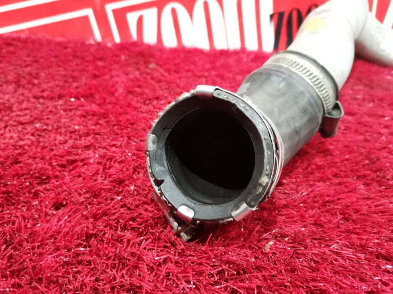 Патрубок интеркулера, 1500 рублей, Солонцы