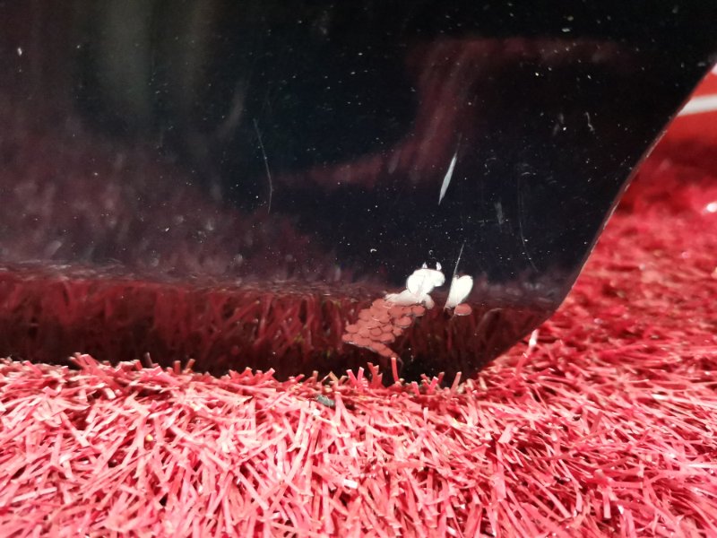 Дверь боковая, 6000 рублей, Солонцы