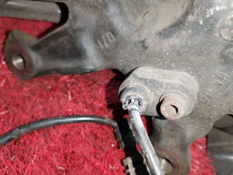 Ступица, 1000 рублей, Солонцы