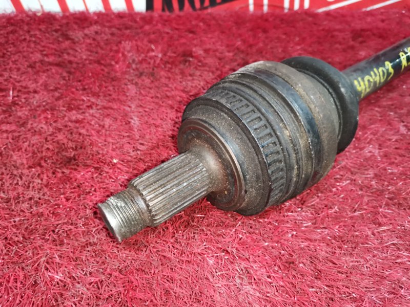 Привод, 2400 рублей, Солонцы