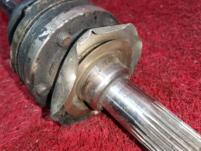 Привод, 2400 рублей, Солонцы