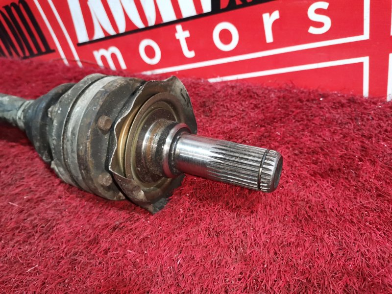 Привод, 2300 рублей, Солонцы