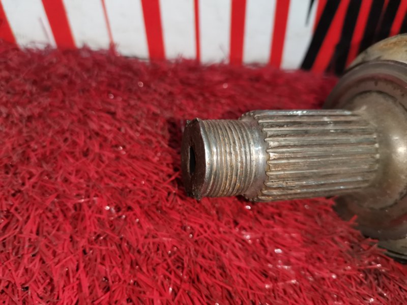 Привод, 2300 рублей, Солонцы