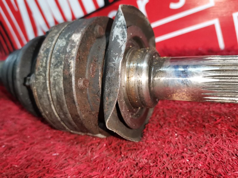 Привод, 2300 рублей, Солонцы