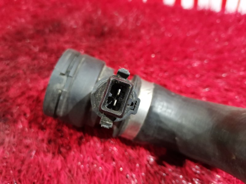 Патрубок, 1000 рублей, Солонцы