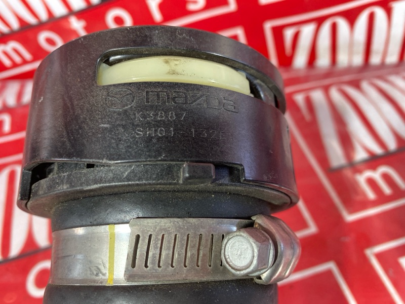 Патрубок интеркулера, 800 рублей, Солонцы