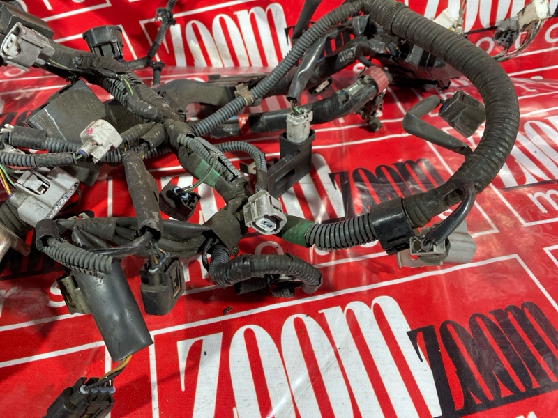 Электропроводка, 2900 рублей, Солонцы