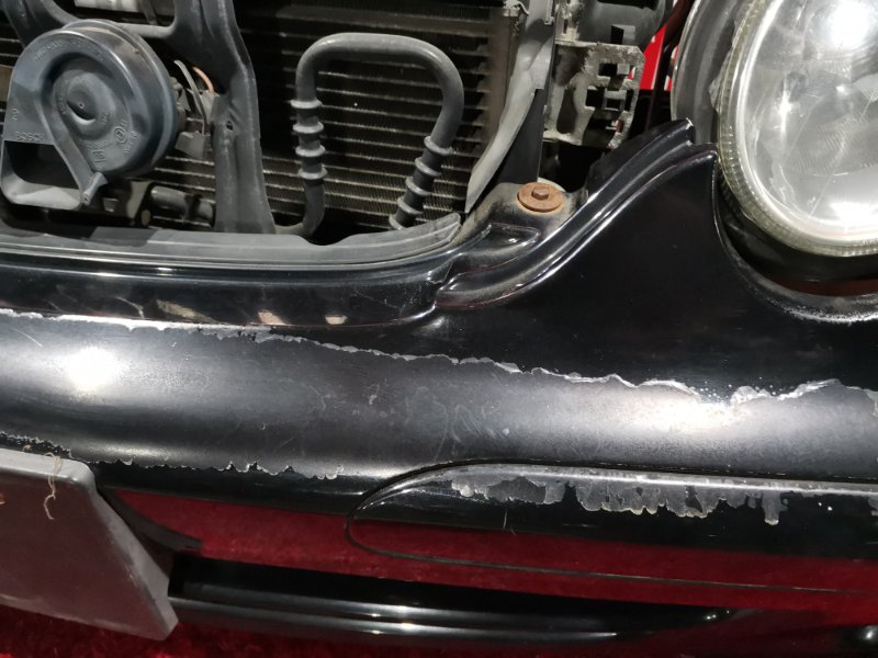 Nose cut, 52300 рублей, Солонцы