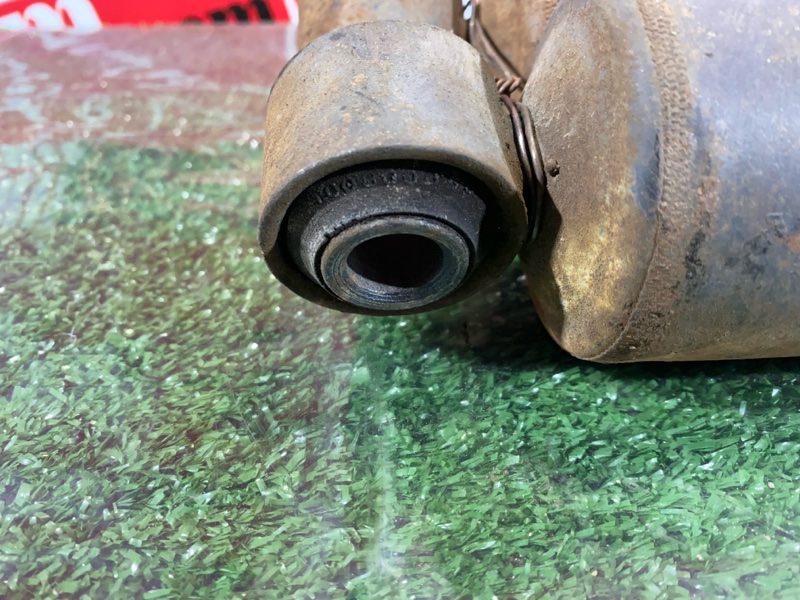 Амортизатор, 1000 рублей, Солонцы