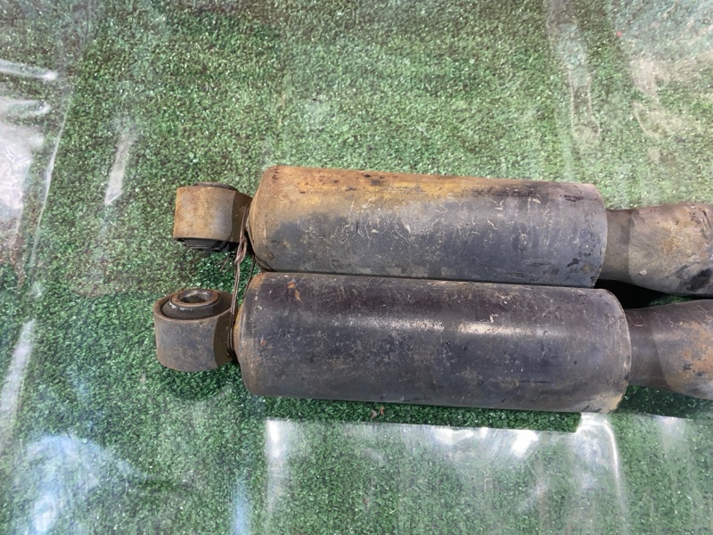 Амортизатор, 1000 рублей, Солонцы