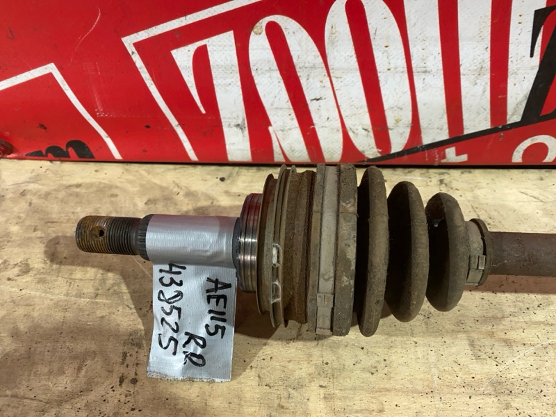 Привод, 1800 рублей, Солонцы