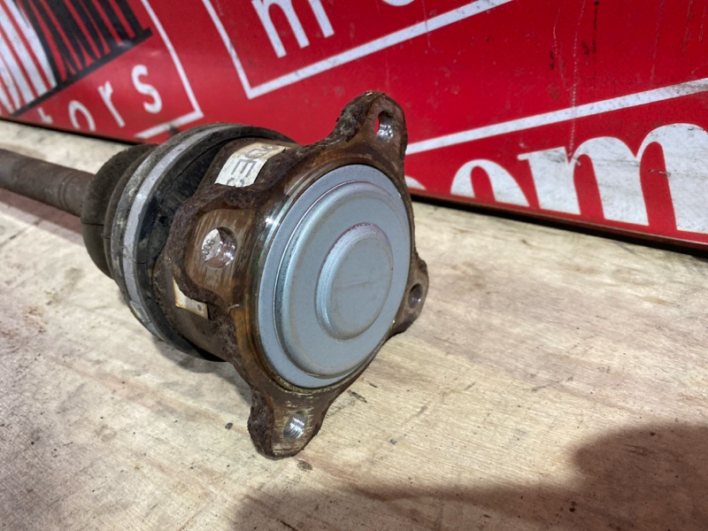 Привод, 1800 рублей, Солонцы