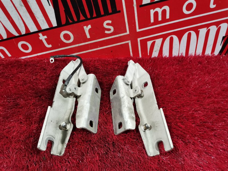 Петля (Шарнир капота), 600 рублей, Солонцы