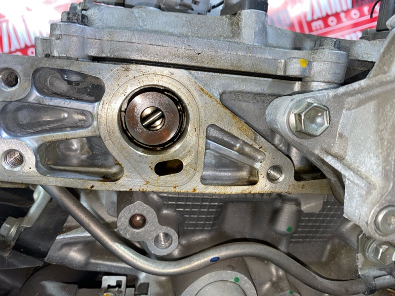 Двигатель, 61800 рублей, Солонцы