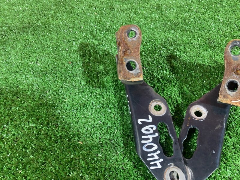 Петля (Шарнир капота), 500 рублей, Солонцы