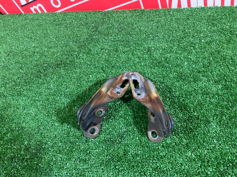 Петля (Шарнир капота), 500 рублей, Солонцы