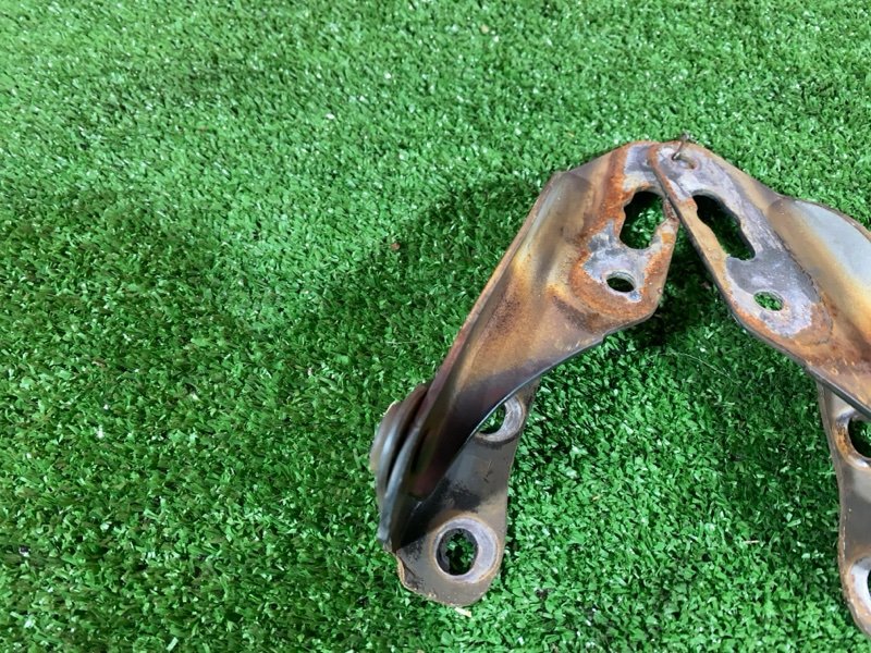 Петля (Шарнир капота), 500 рублей, Солонцы