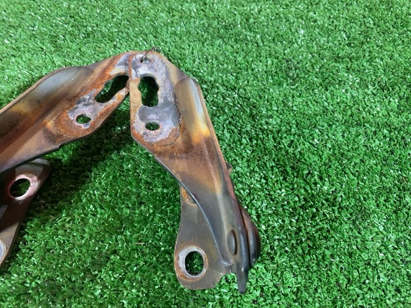 Петля (Шарнир капота), 500 рублей, Солонцы