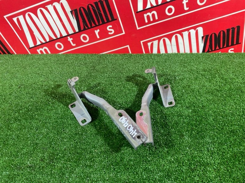 Петля (Шарнир капота), 2400 рублей, Солонцы